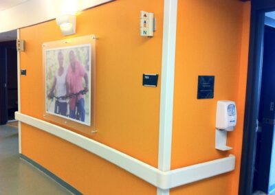 Interior Graphics Wall Murals Birmingham Mi 10