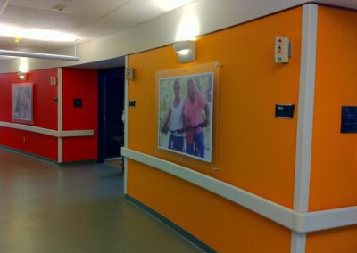 Interior Graphics Wall Murals Birmingham Mi 9